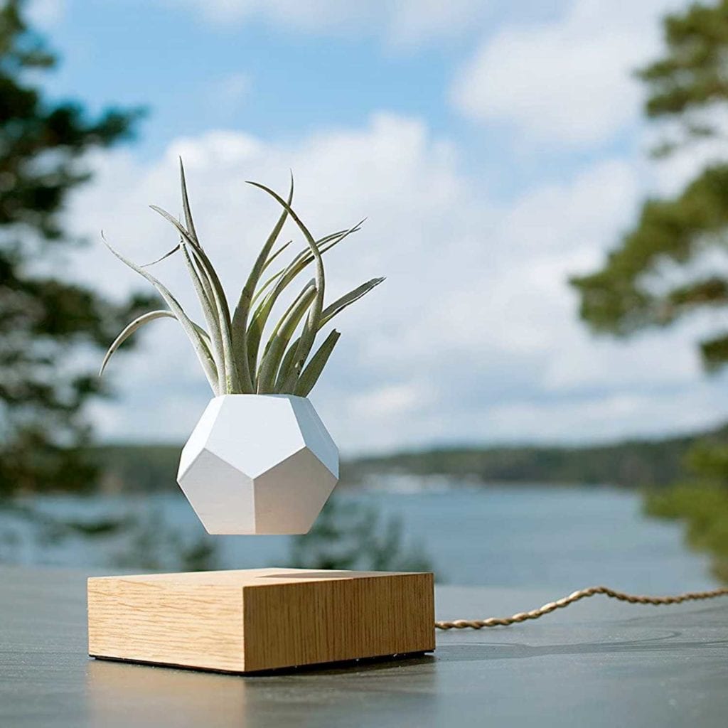 Flyte Lyfe Magnetic Zero Gravity Planter Outside - Luxury Anniversary Gift Ideas For Him