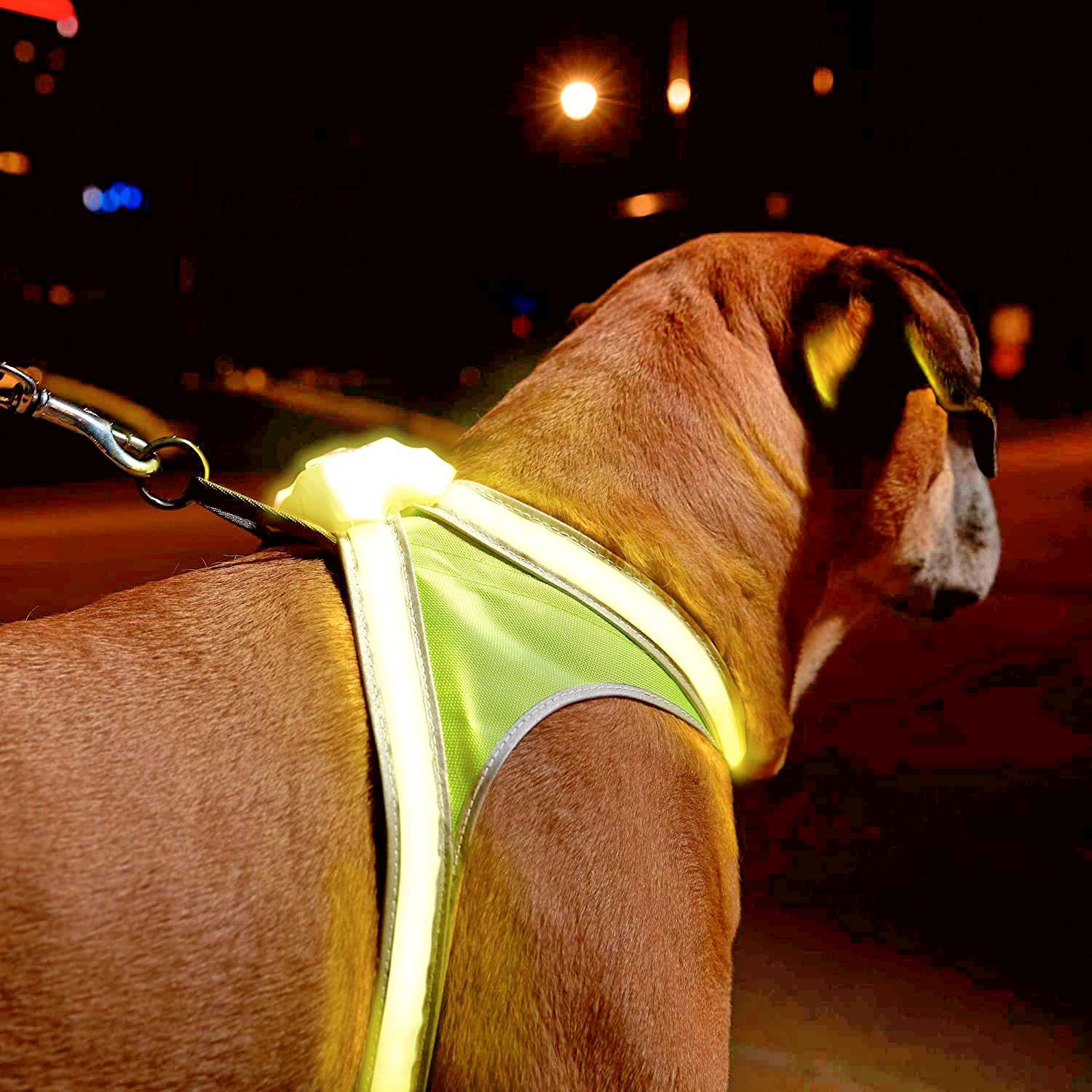 LightHound LED Illuminated Multi-Colored Dog Harness Back Angle – Creative Gift Ideas For Pet Lovers