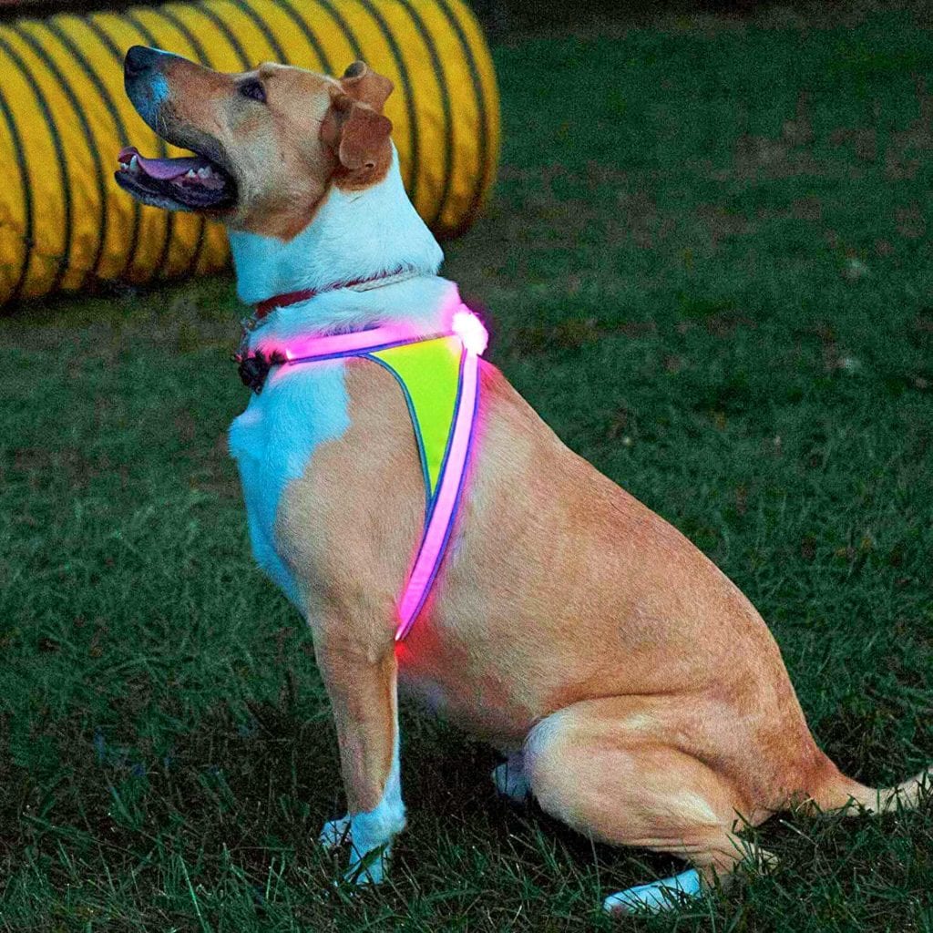 LightHound LED Illuminated Multi-Colored Dog Harness Left Side View – Creative Gift Ideas For Pet Lovers