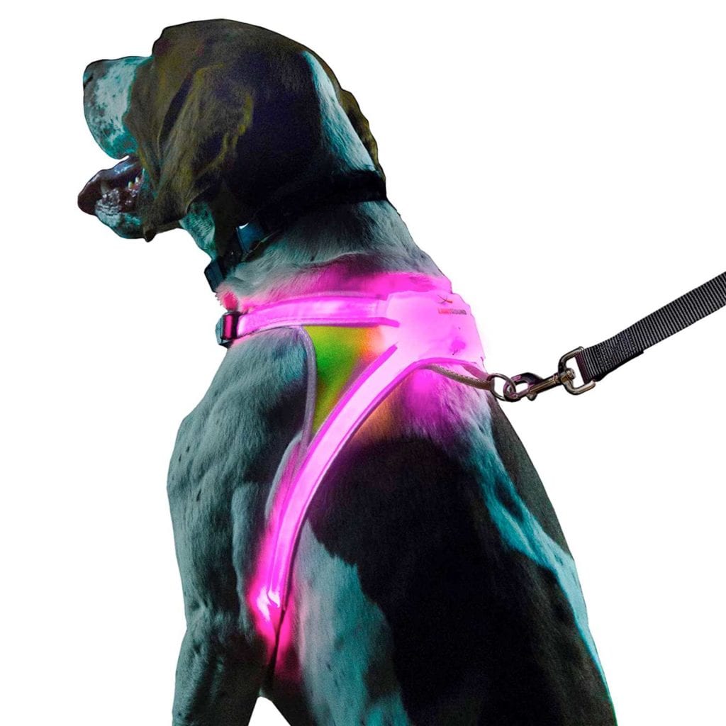 LightHound LED Illuminated Multi-Colored Dog Harness Main Photo – Creative Gift Ideas For Pet Lovers