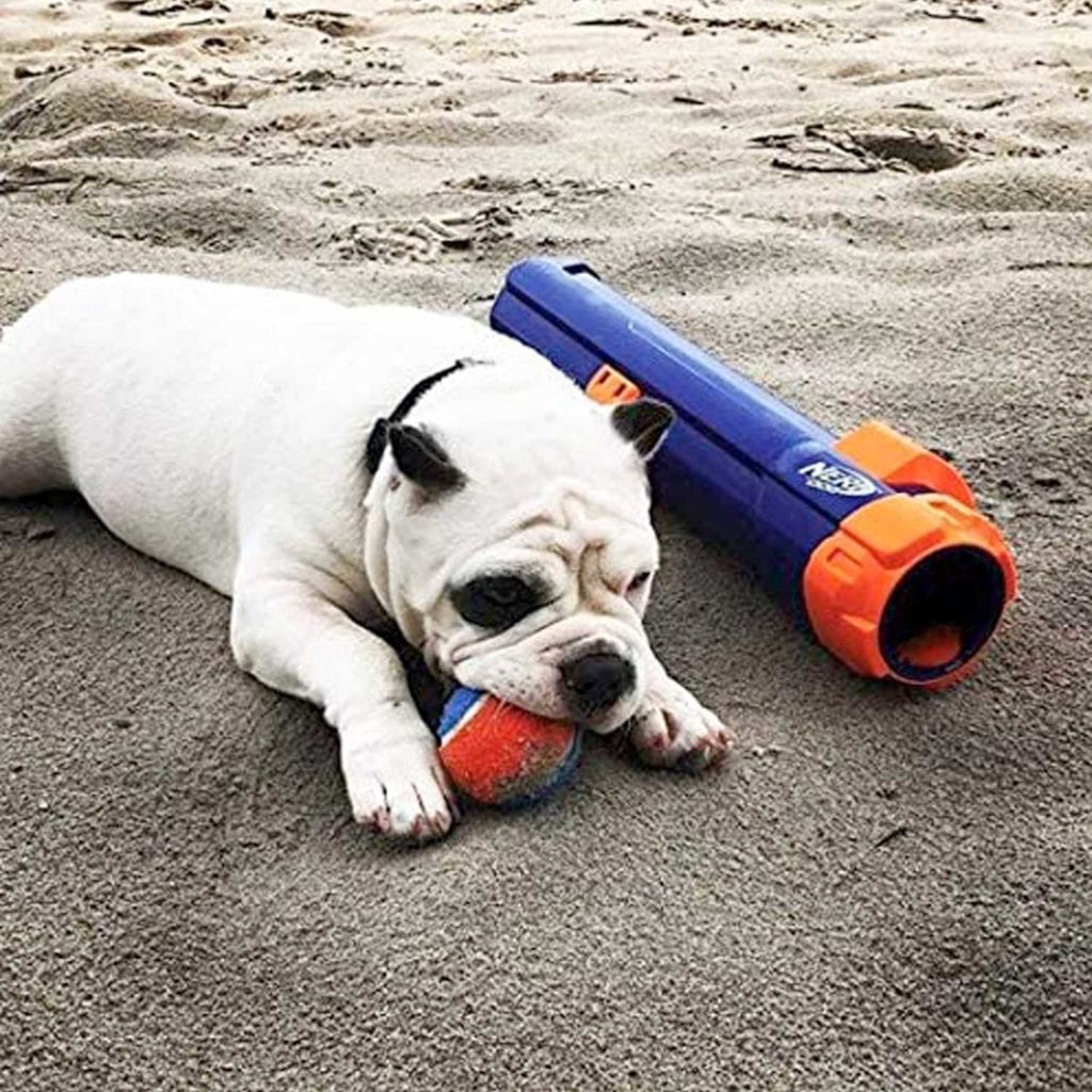 Nerf Dog Tennis Ball Blaster Fetch Bazooka with Dog - Best Birthday Gifts For Pet Lovers