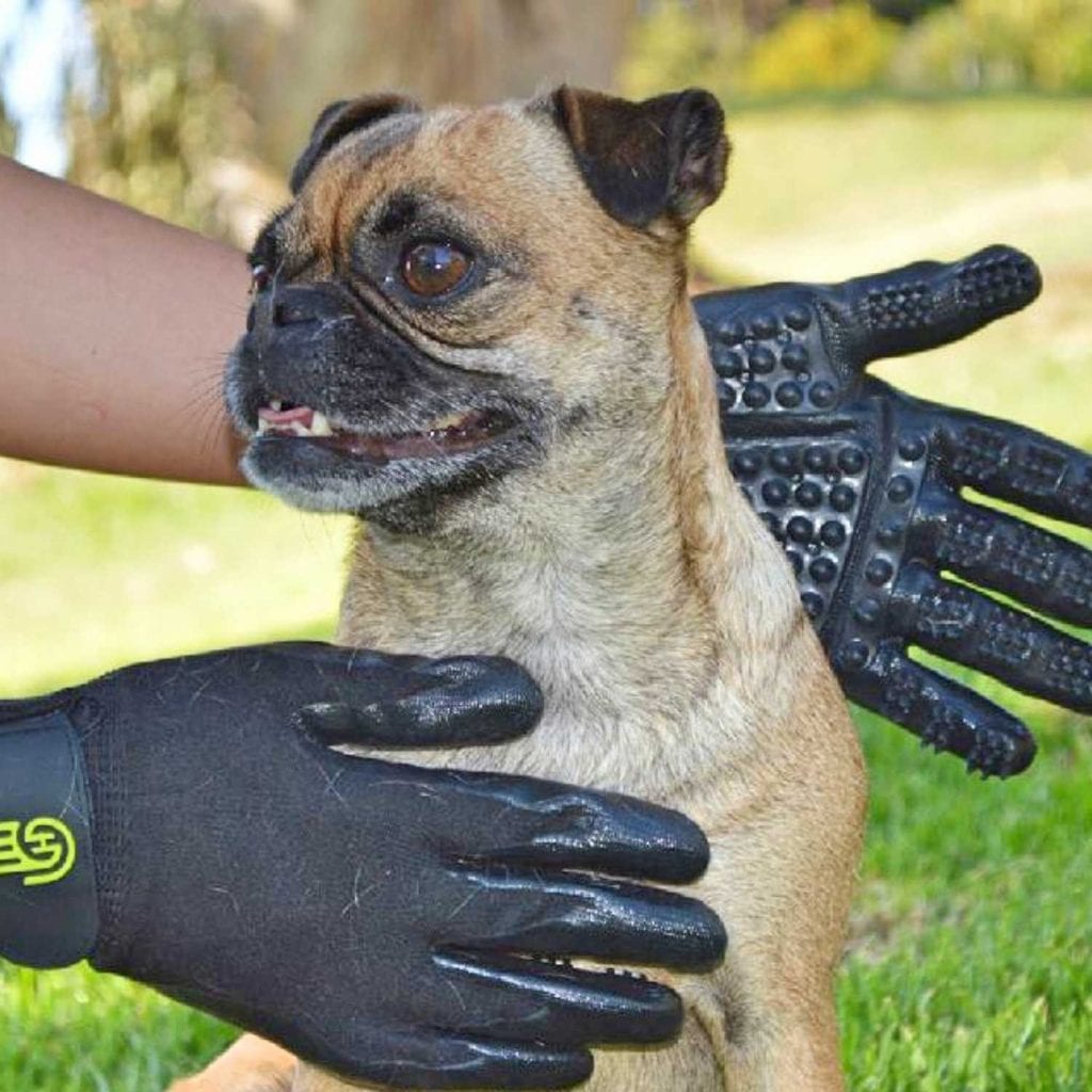 Textured Pet Shedding Washing and Grooming Gloves Pug - Best Christmas Gifts For Pet Lovers